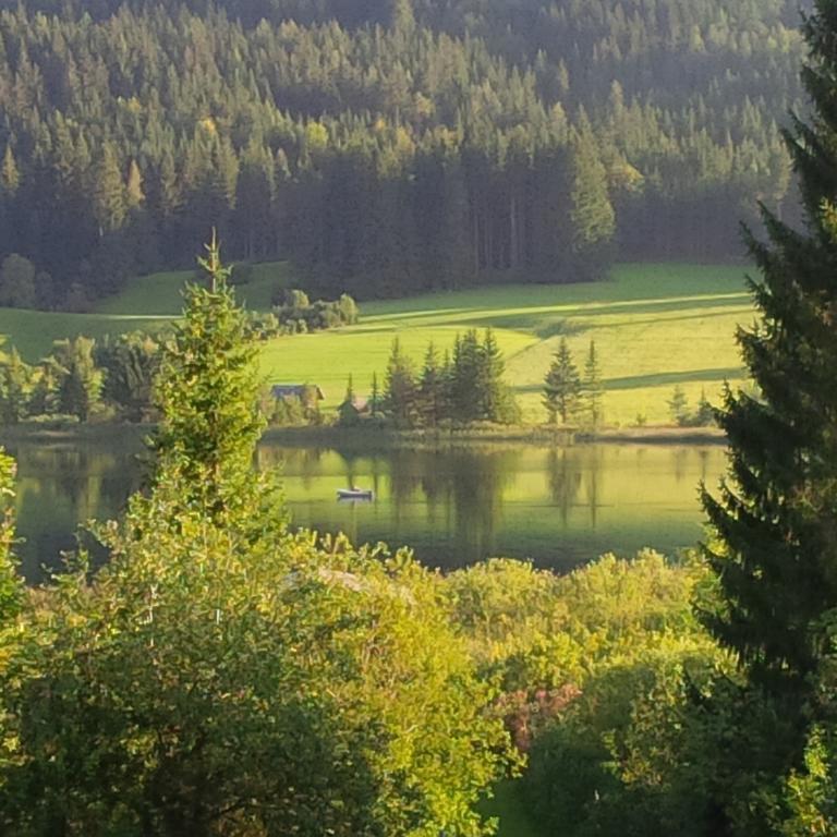 Seehaus Verena Weissensee Δωμάτιο φωτογραφία